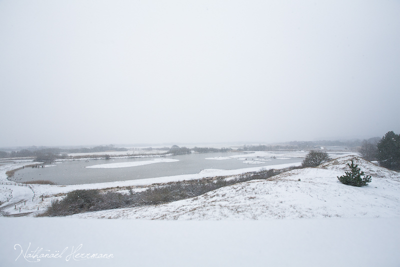11032013-NathanaelHerrmann-01.jpg
